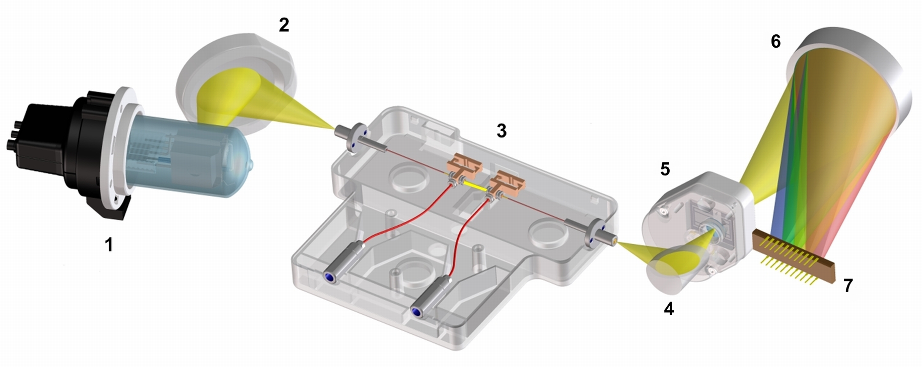 Optical System of the Detector