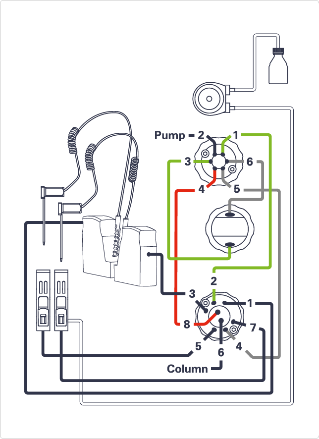 Capillary connections (Dual-Needle Option)